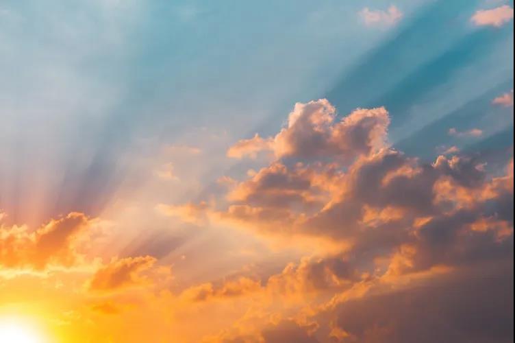 �ղ�����ʲô��û�У���������������