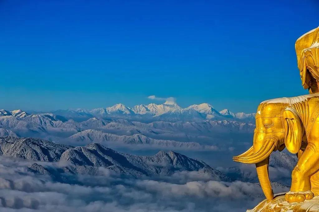 师父,能不能给看看我的前途是好是坏啊? 师父,能不能给看看我的前途是好是坏啊?