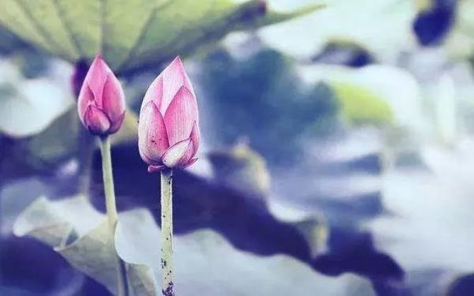 ���ֲ�ε�����ˣ����ڵڼ��㣿