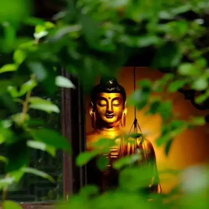 古代高僧净土感应事迹 古代高僧净土感应事迹