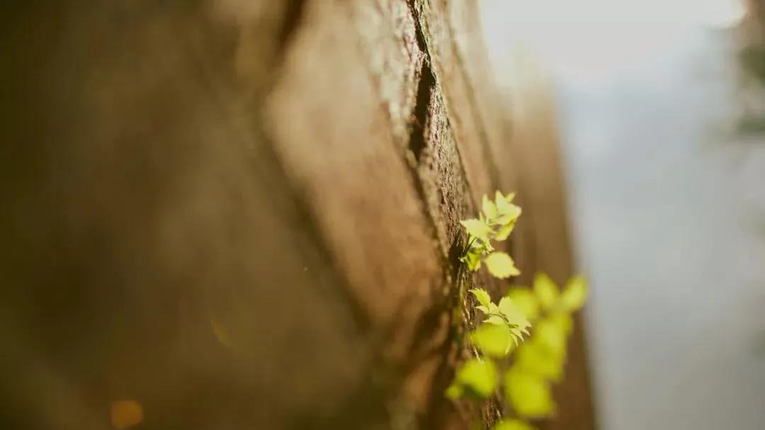 ���š��ա����С�ɶ��ϵ�����ƴ�ʦ�����ա��ǰְ֣����С�������