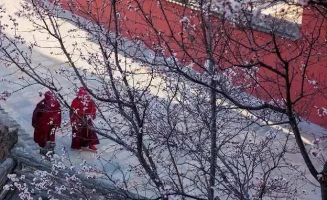 ����������ĸ��������𷨸�������ȷ��