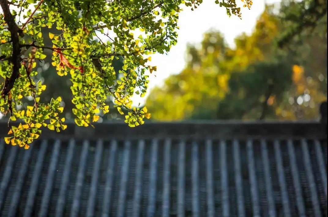 ���ﵽһ�Ĳ��ң����������Ĵ�Ҫ��