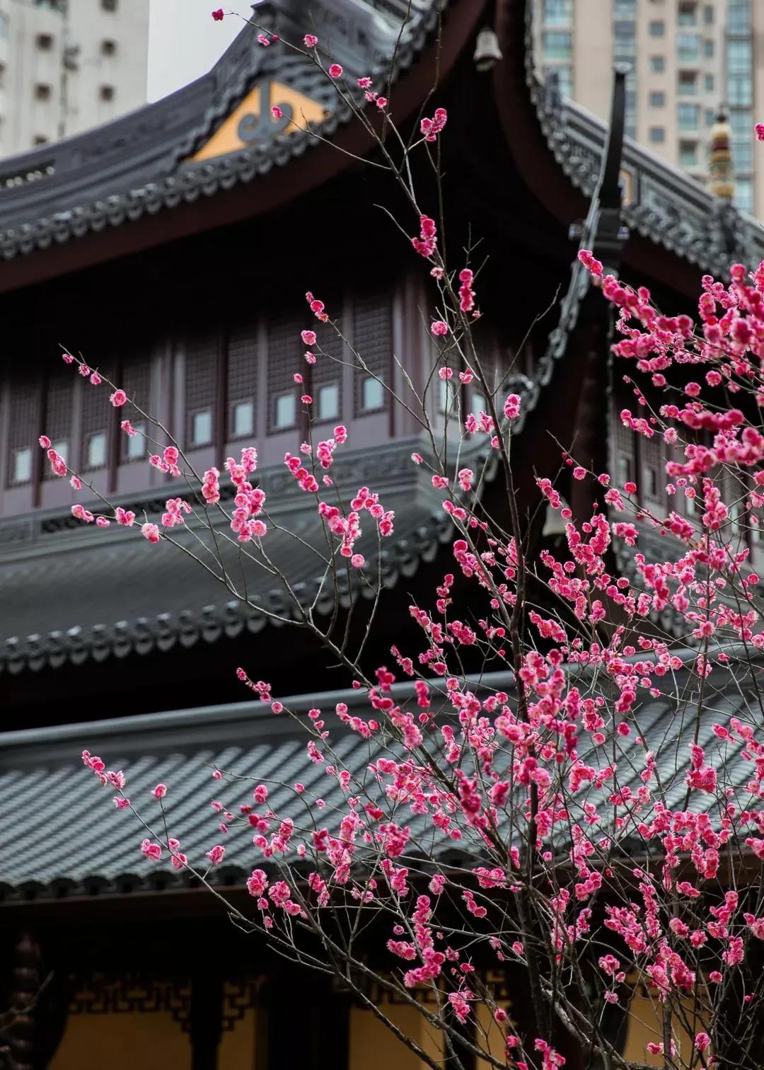 ����������߾�����ǲ������ࡱ