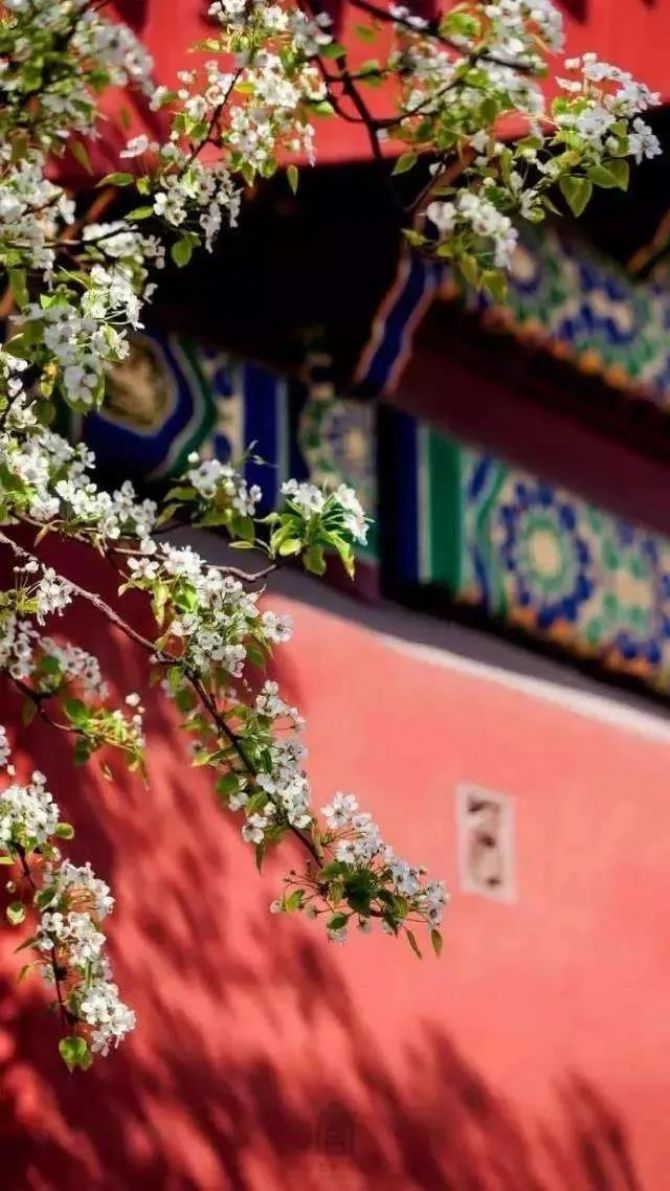 ���ǵ�����Ϊʲô����ʮȫʮ��_��