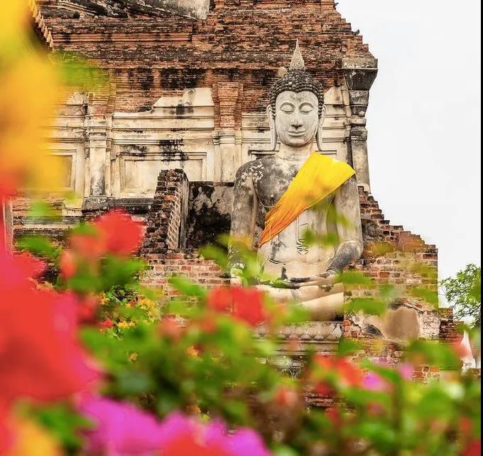 ���ǵ�����Ϊʲô����ʮȫʮ��_��