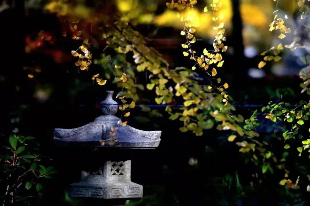 高僧大德勘破生死,死亡方式千奇百怪 高僧大德勘破生死,死亡方式千奇百怪