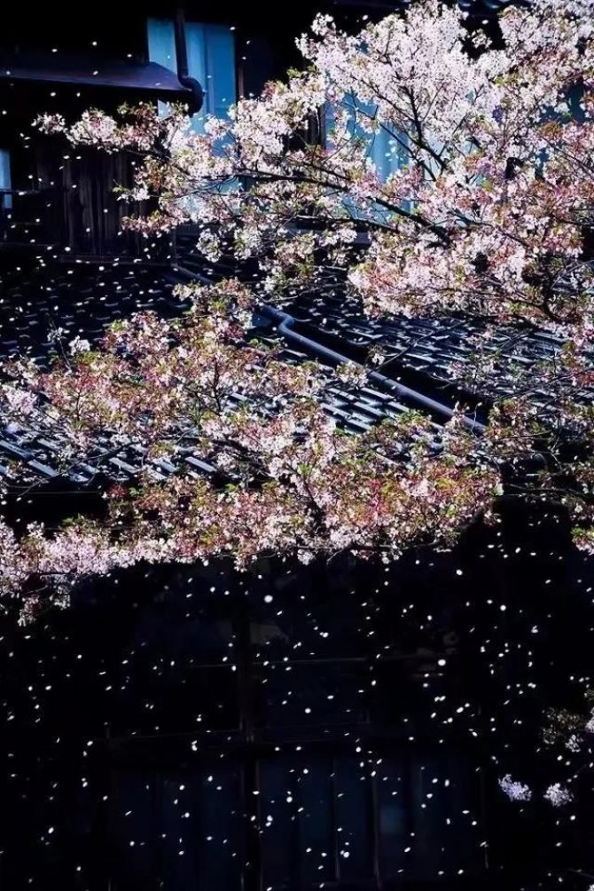 Ҫʵ����Щ���ţ��ſ��Ի�ȡ������������ƽ���Ϳ��֣�