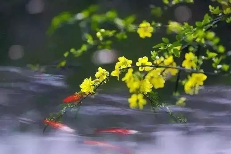 �߸�ɽ�������͵ͺ����С���������ǰ����