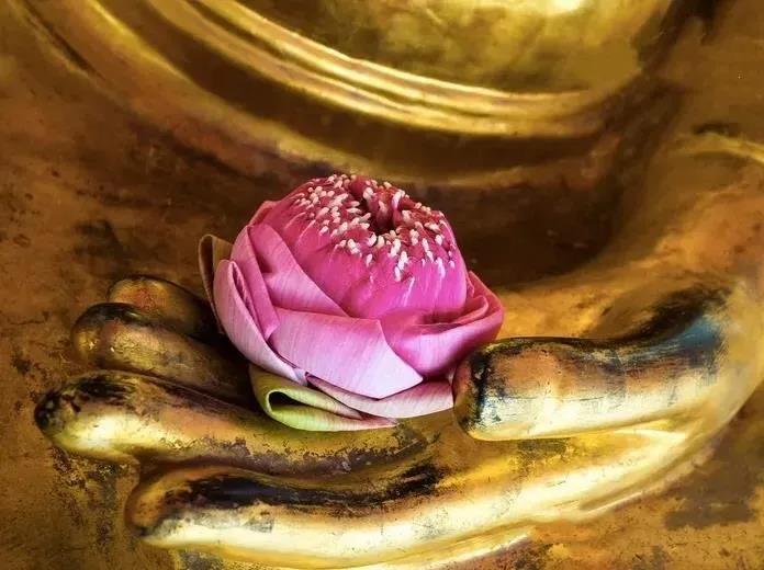 临命终五分钟的正念,你平常要花很多时间来栽培 临命终五分钟的正念,你平常要花很多时间来栽培