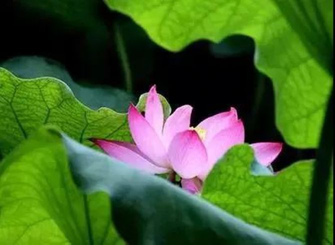 ��ӿ��������һ�ϳ��ϸ����㣬�ݷ���������Щ