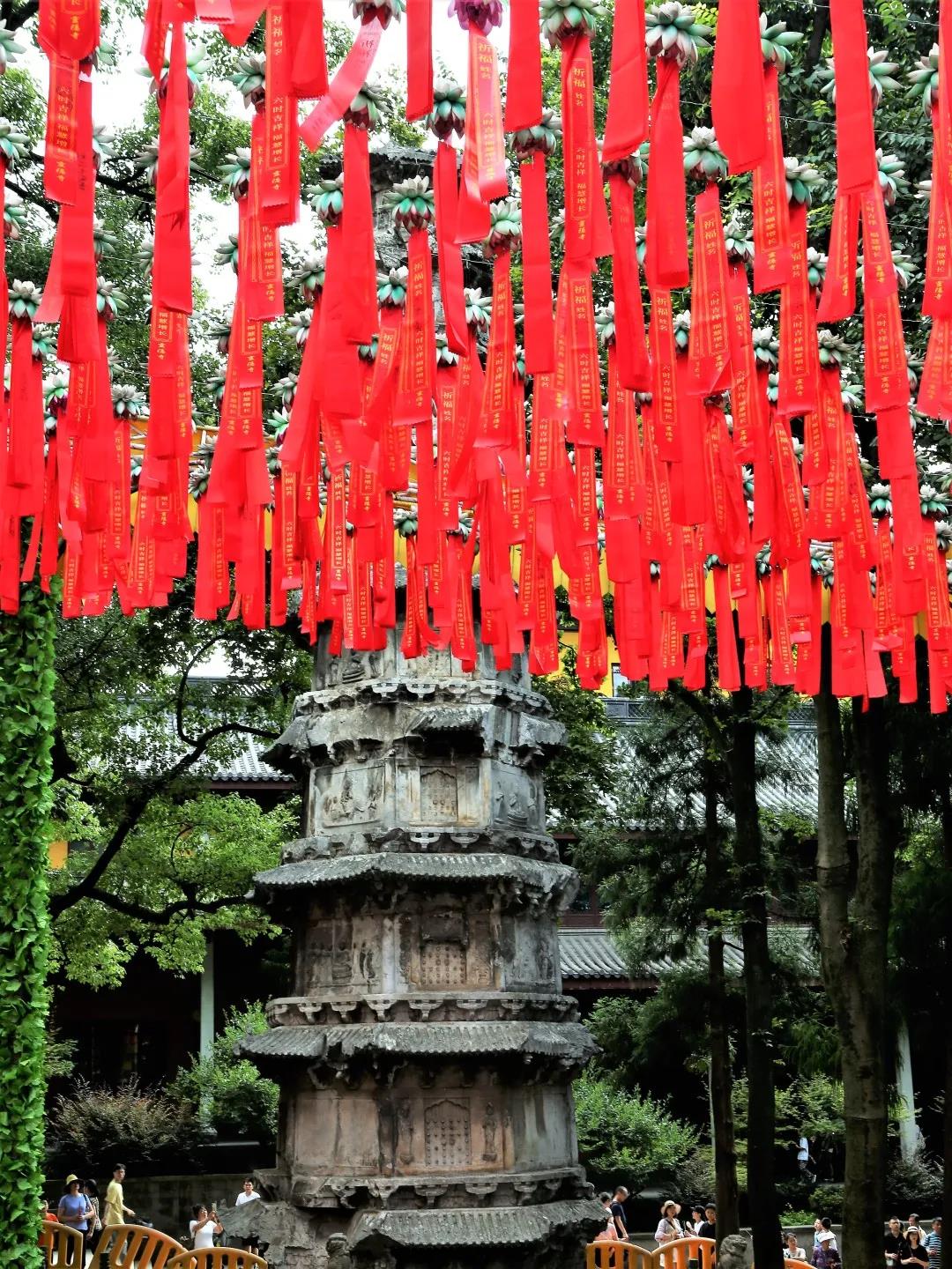 �������룬���ž�ʿ��ʲô�𾭳������飿