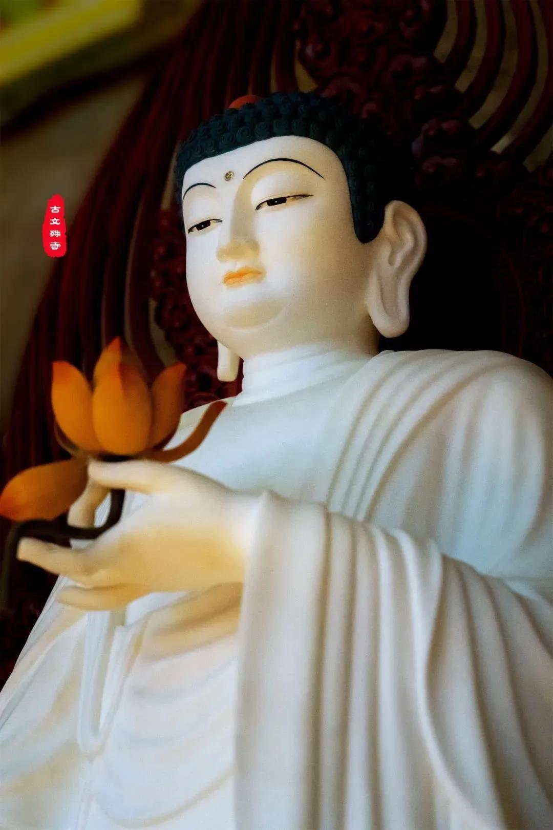 �����������������򵥵����Խ���������