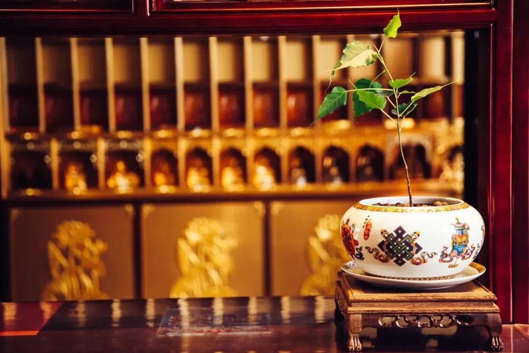 �����������������򵥵����Խ���������