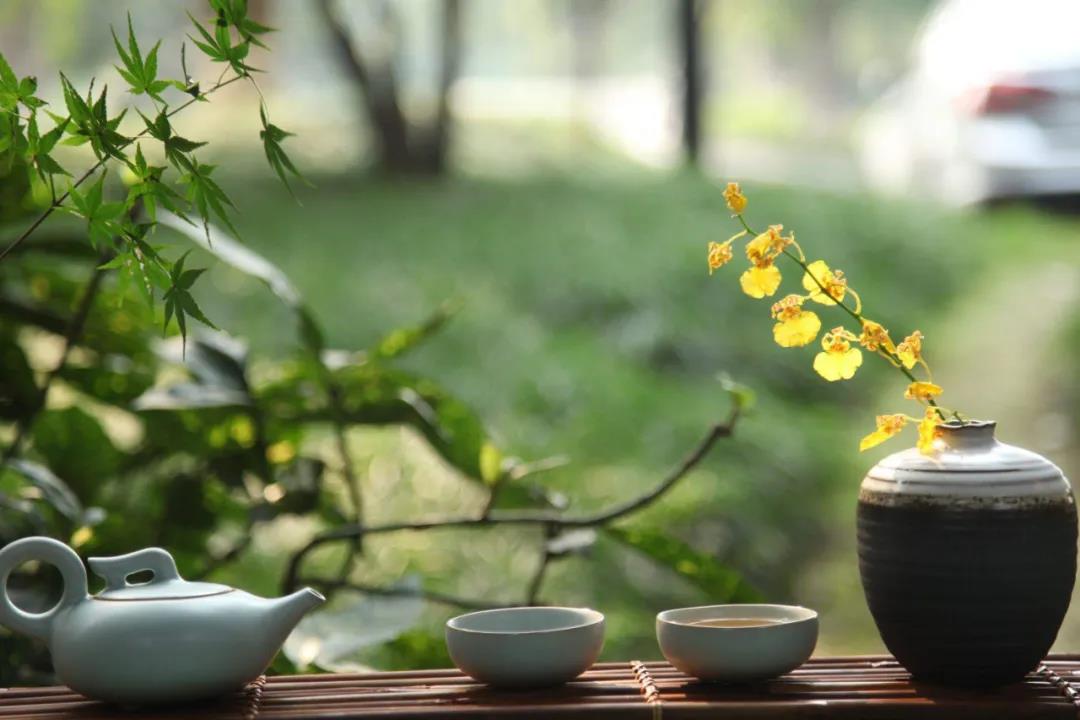 修行人为什么要少语止语? 修行人为什么要少语止语?