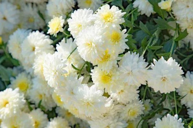 ���������ڣ�����׷Զ��Т�ױ�����