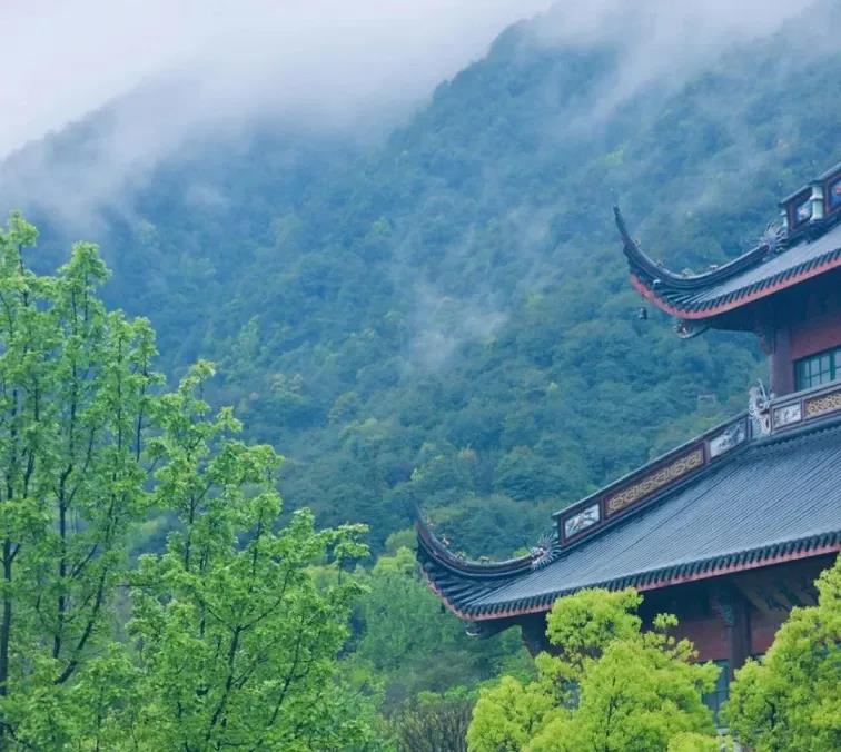 ���������ڣ�����׷Զ��Т�ױ�����