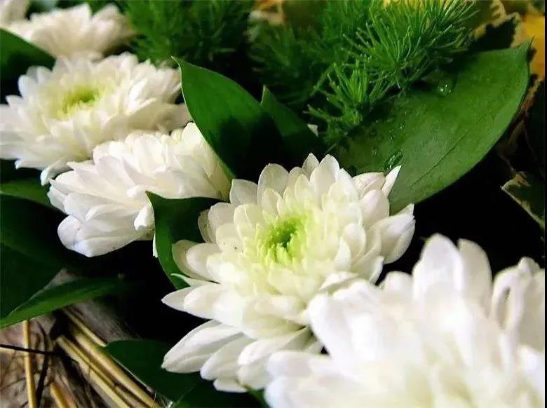 ��ձ����գ�����Ҳ����