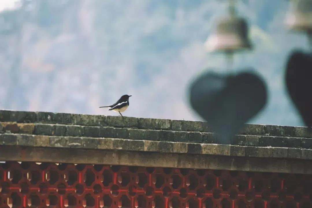 ѧ������Ҫ����˸�����