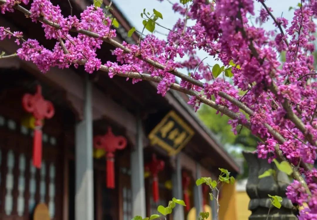 《坛经》中开示的在家修行法门 《坛经》中开示的在家修行法门