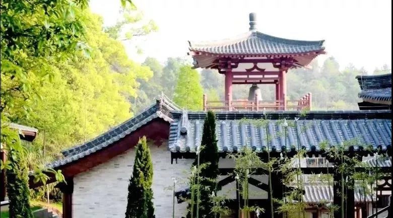 �ŷ��ѧ�𣬾�����ʲô����