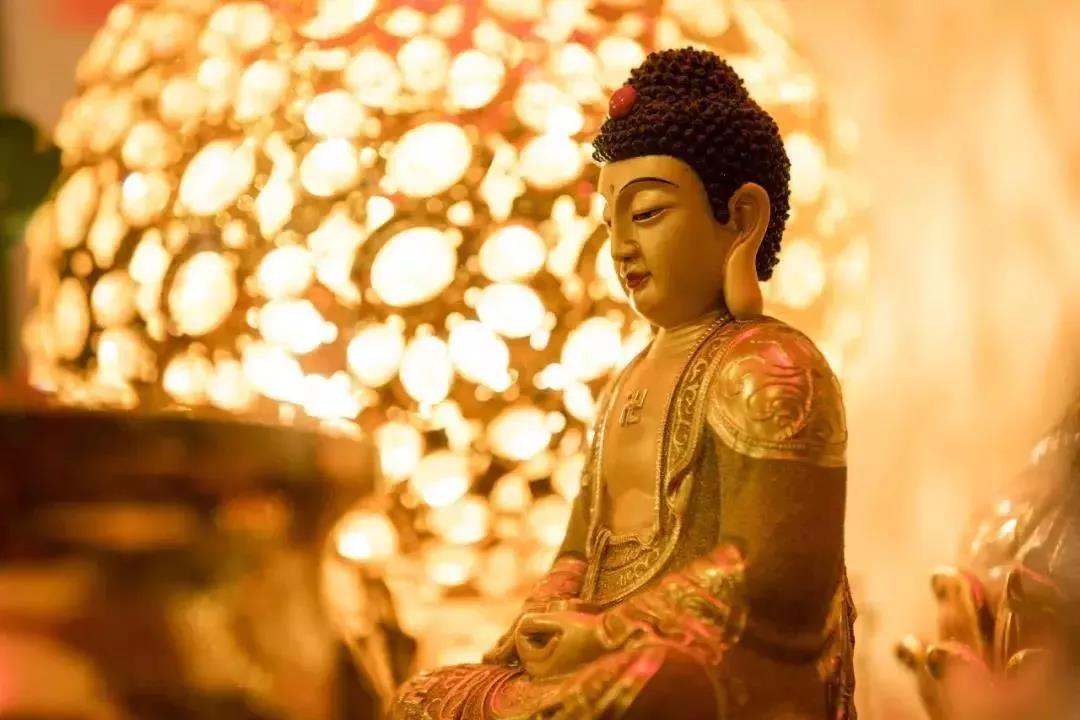 ��ʲô������̬��𣬿��Ծ���������