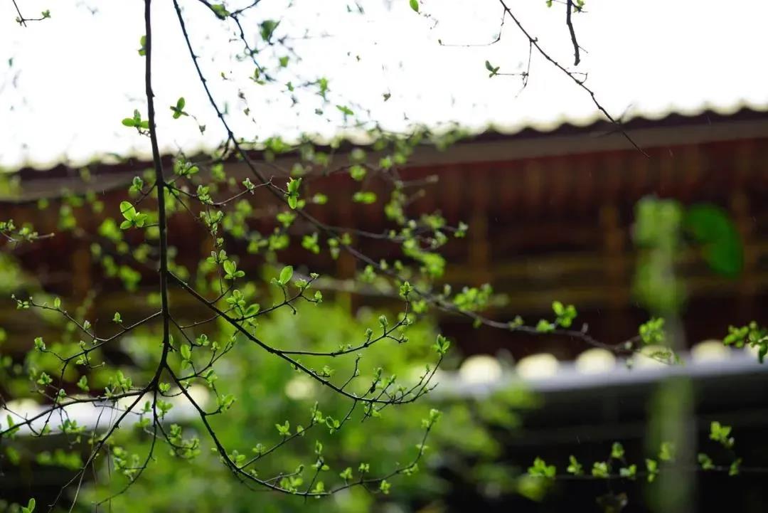 ��ʲô������̬��𣬿��Ծ���������