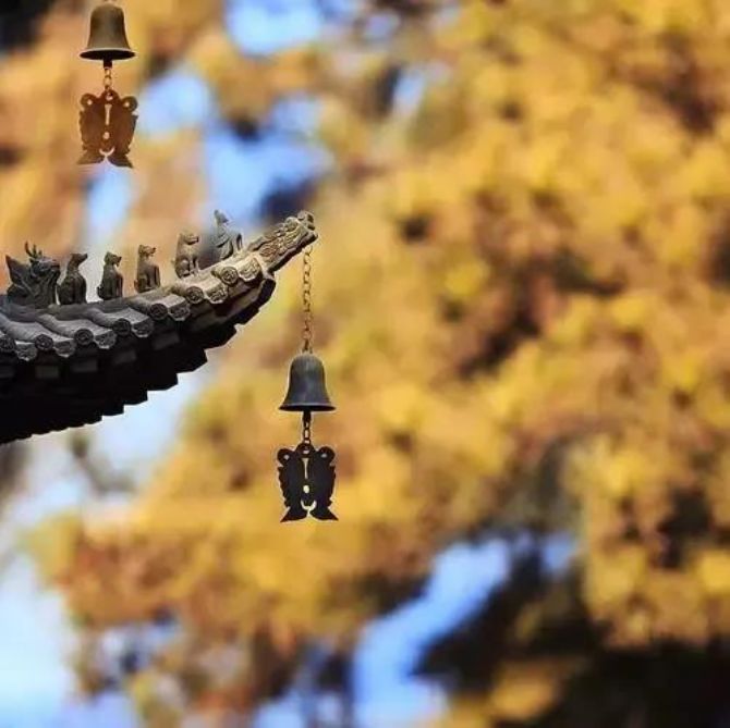 ѧ���֪��������ں󣬻�������������ǰ