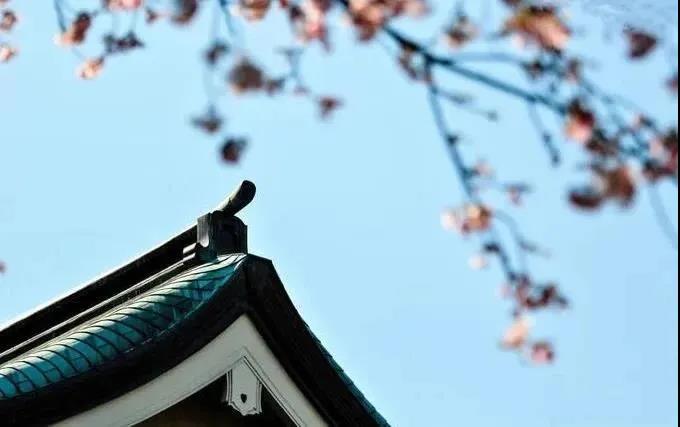 ѧ���֪��������ں󣬻�������������ǰ