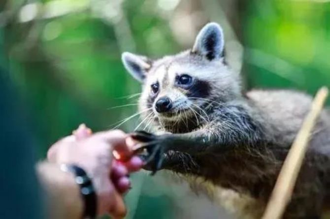 �����ã���ô�ƽ⣿�����ǿ���ͨ�����ж����׸ı��