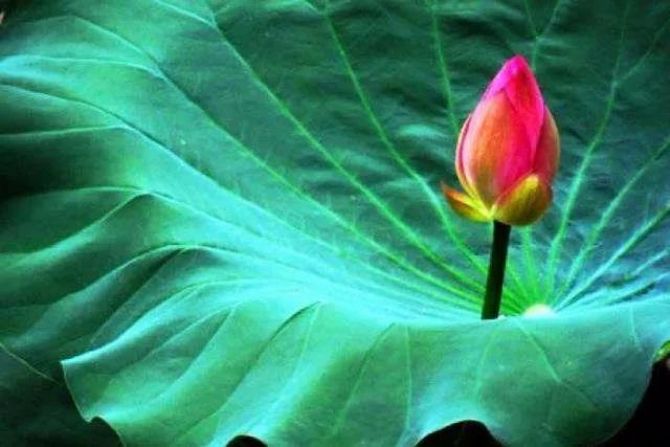 �㿴���ߵ���˰��꣬������һ��һϦ�Ĺ����أ�