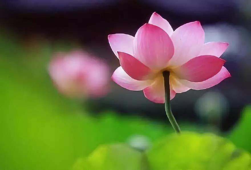 �㿴���ߵ���˰��꣬������һ��һϦ�Ĺ����أ�