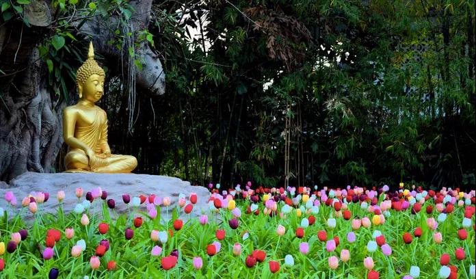 ���ŵ��������ӣ���ζԴ��Ƿ�̵�������