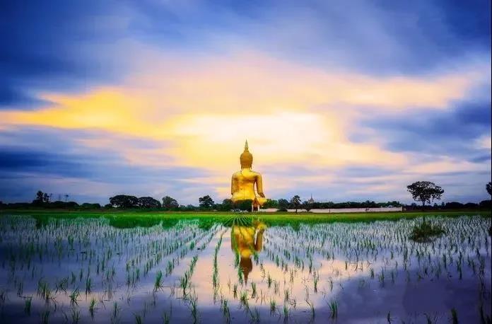 ������Ʊ鲼������������䣡�����ҵĸ���������ʵ