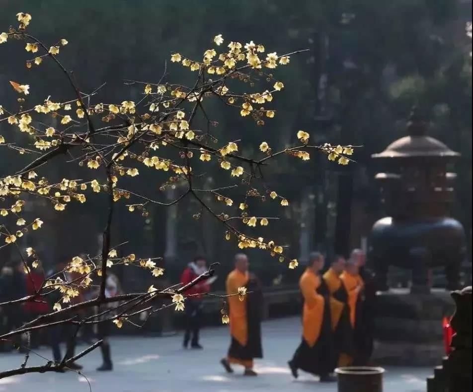 �������е��������Ǿñ��ط�