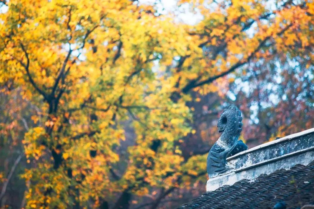 �������е��������Ǿñ��ط�