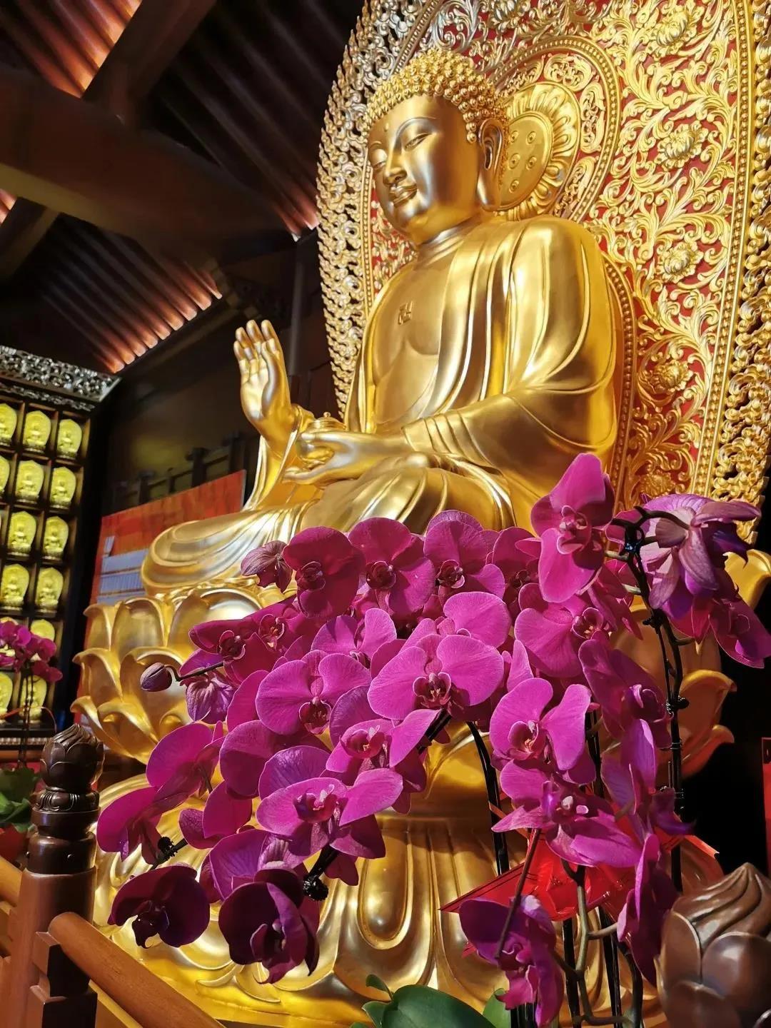 道高一尺,魔高一丈,原因就在这里 道高一尺,魔高一丈,原因就在这里