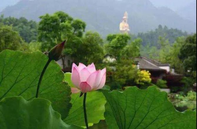 Բ����ʦ��ʮ�����������