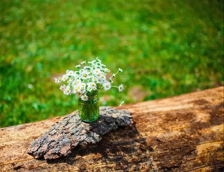 �Լ����ղ���_��������ô�������أ�