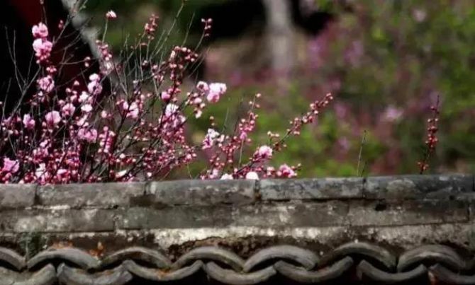 ���������ߣ�������������þ�