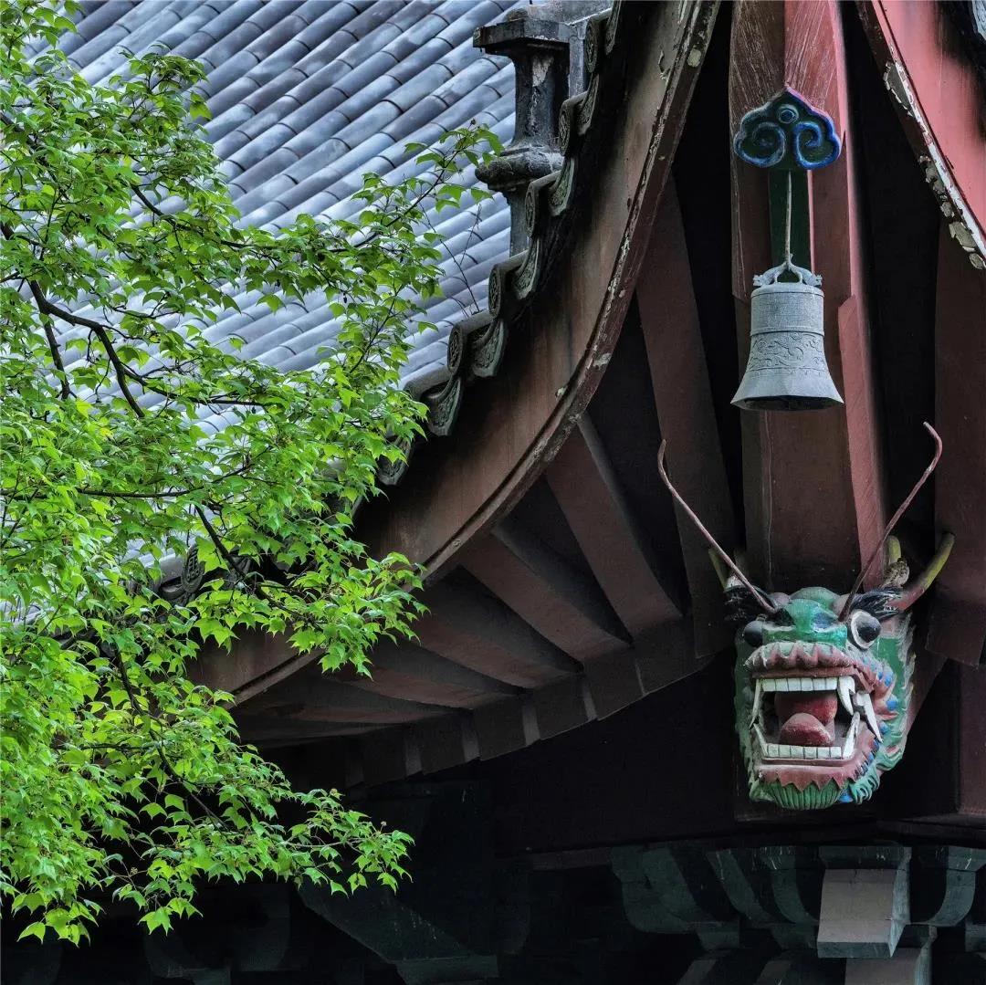 �ŷ��μ���3�仰��ѧ��·�ϻ�Խ��Խ˳��