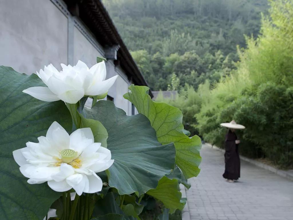 �����ࡢ��õĻ������������е���ѻ���