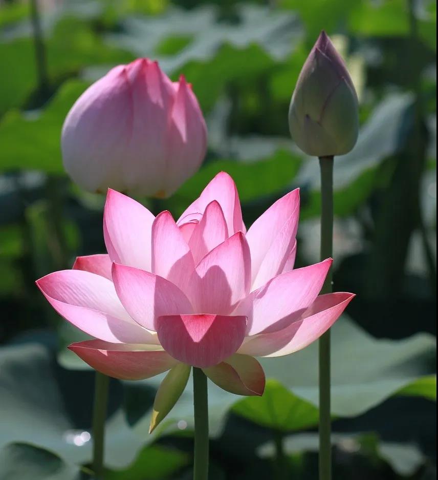 ��ҵ�����������㲻�ܴ�����ҵ~