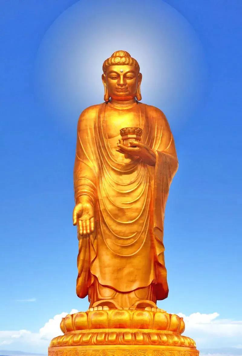 ��������������㻹��ʲô���ɲ��޾�����