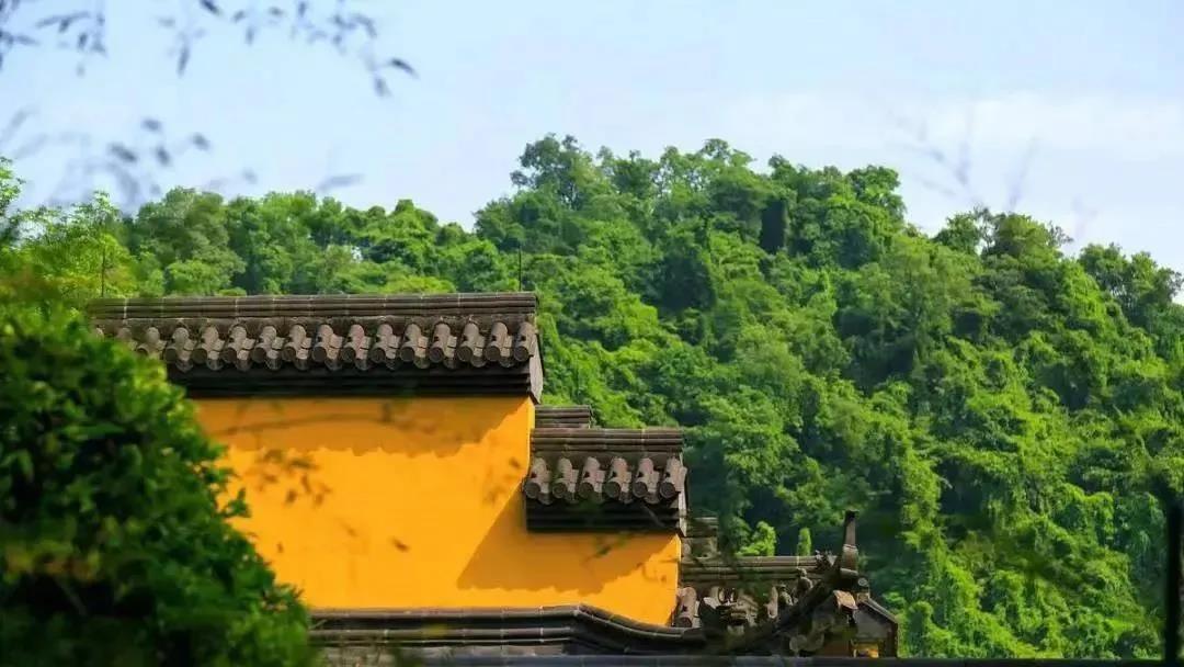 ��̾������泣˵���������䷨��������ʲô��˼��