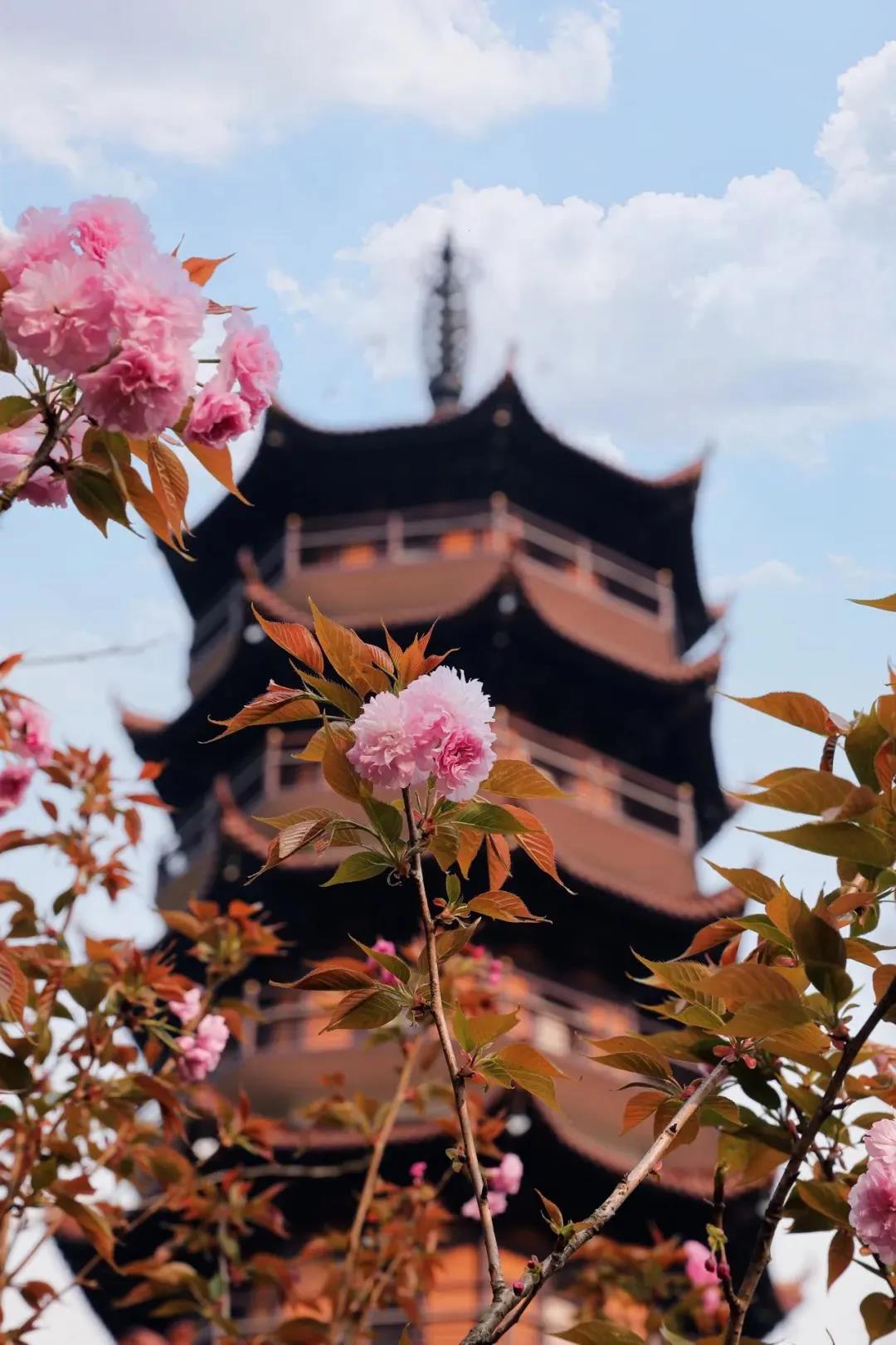 ��Щ�˰ѷ��յ����������᲻���ӵ�