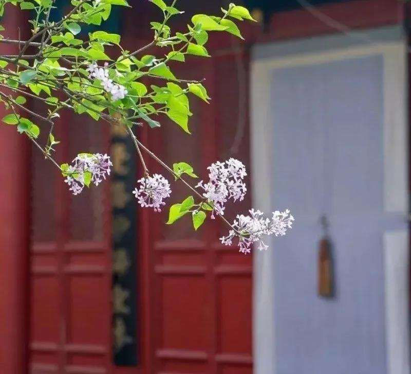 �����ࡢ��õĻ������������е���ѻ���