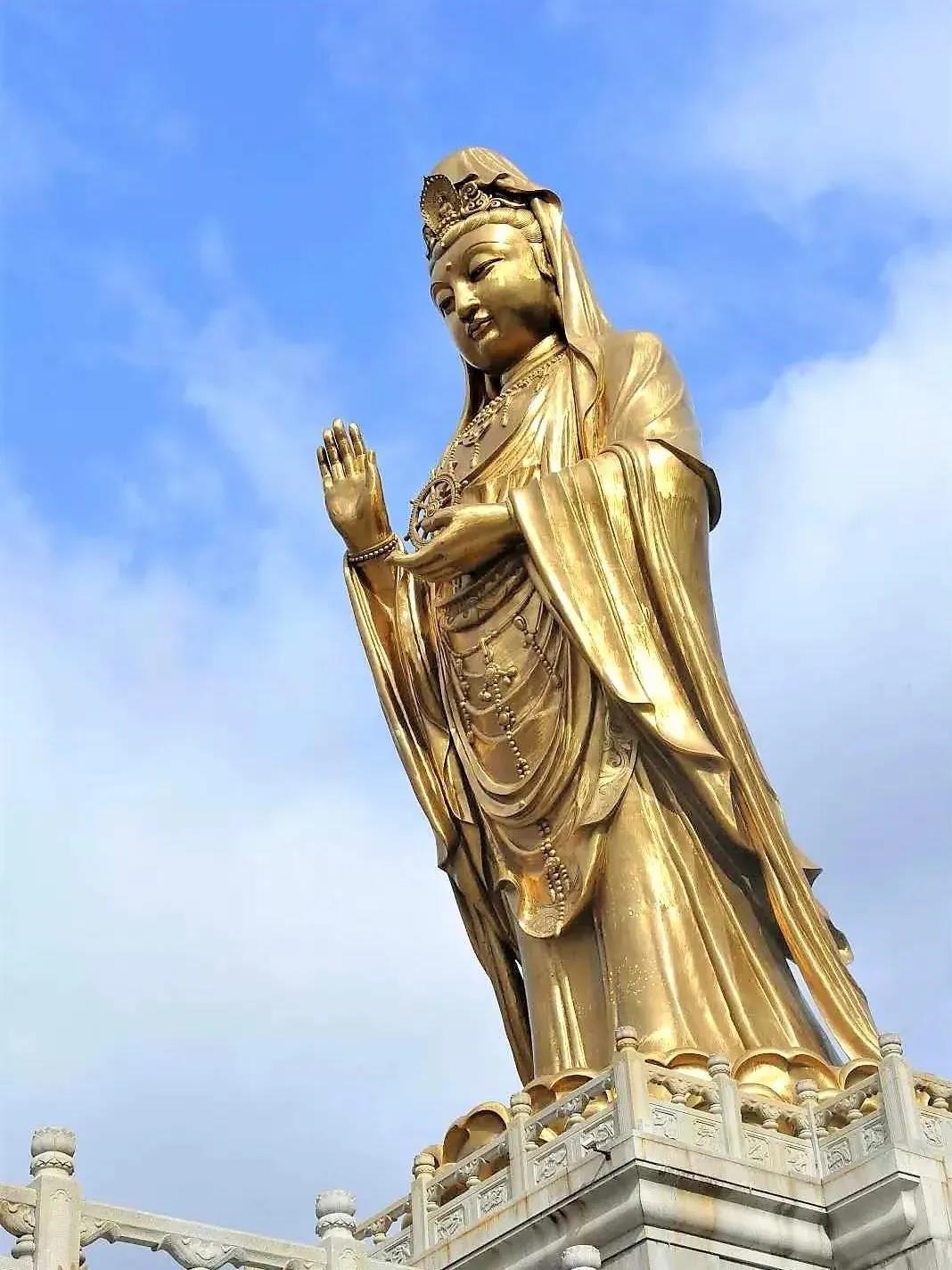 ���벻�룬���������ڻ������㣨�����������ۣ�