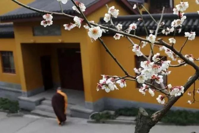 ����ѧ����Ĳ����Ǿ���