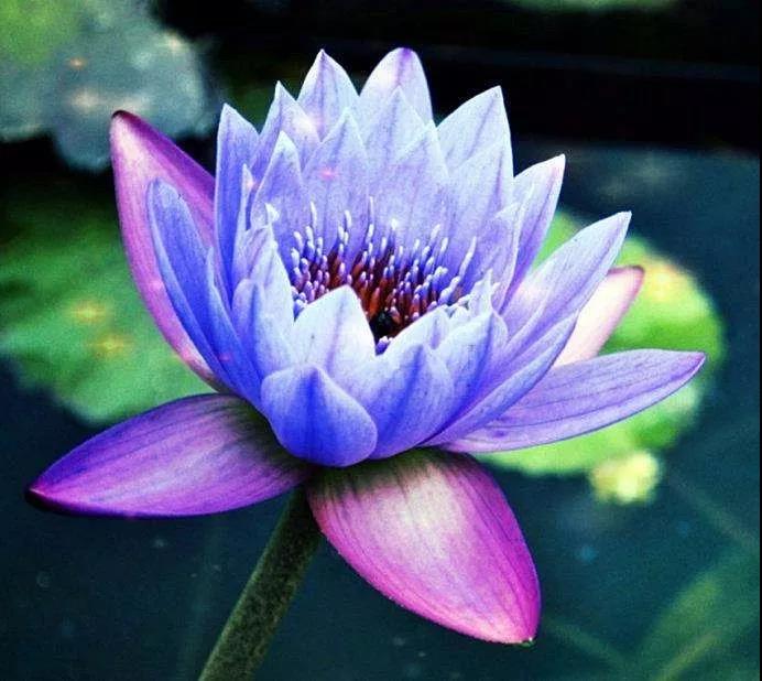 ������ǻ�Ϊ�������Ҫ��